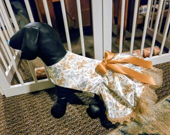 dog new years dress Party Dog Dress New Years Size Medium 17-20 NEW