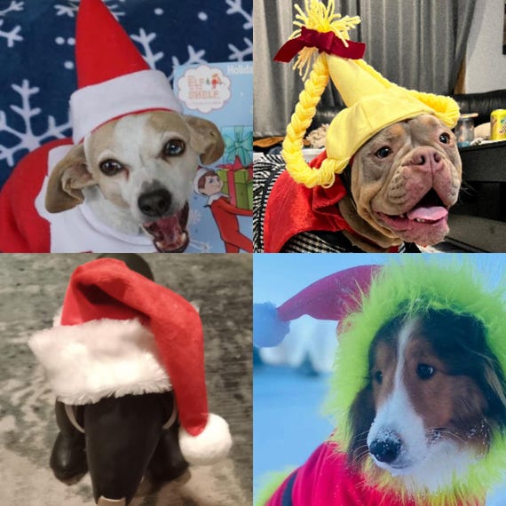 Christmas dog hats, Elf dog hat, Santa dog hat, Holiday dog hats, Dog hats