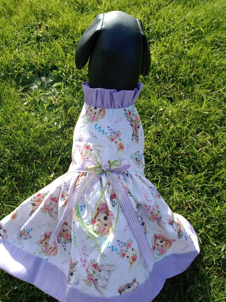 Birthday Dog Dress Happy Birthday Dog Outfit Celebration Dog Etsy