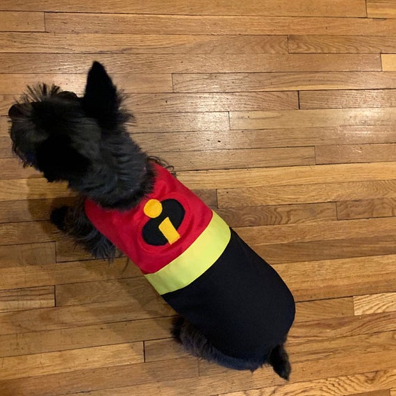 incredibles dog