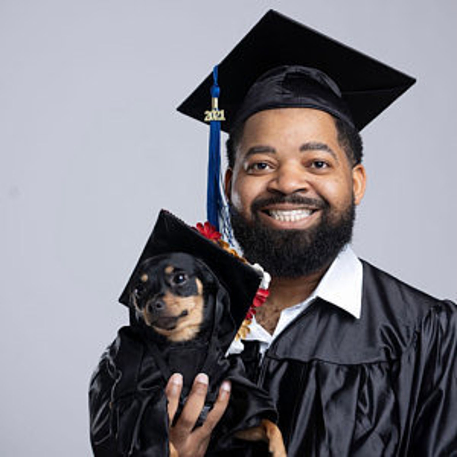 Graduation Dog Gown Graduation Gift Dog costume Dog gown Etsy