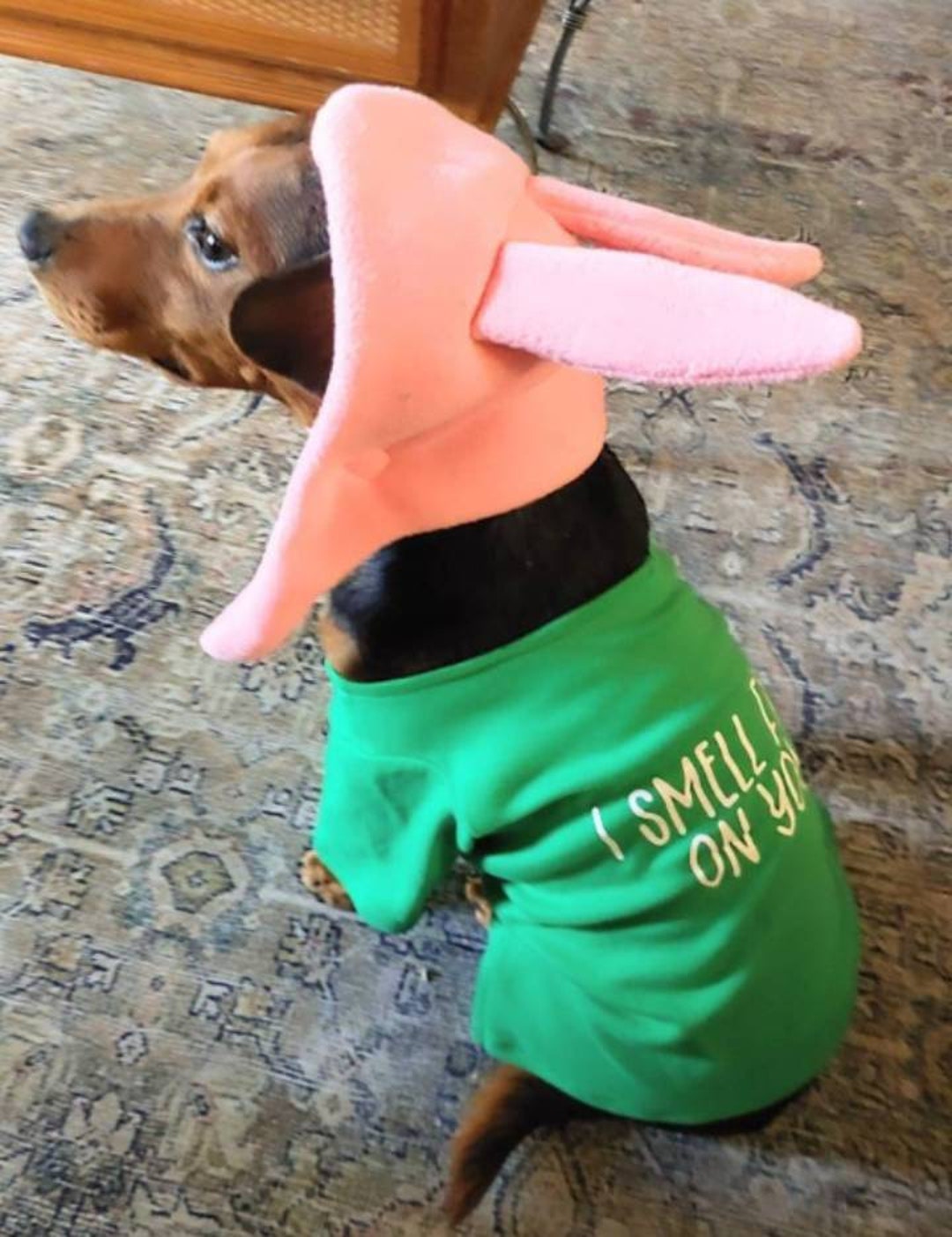 Louise Dog Costume Bob's Burger Dog Outfit I Smell the 