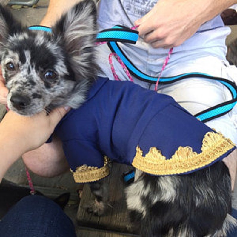 Beauty and the Beast Beast Dog Jacket Prince Dog Costume Etsy
