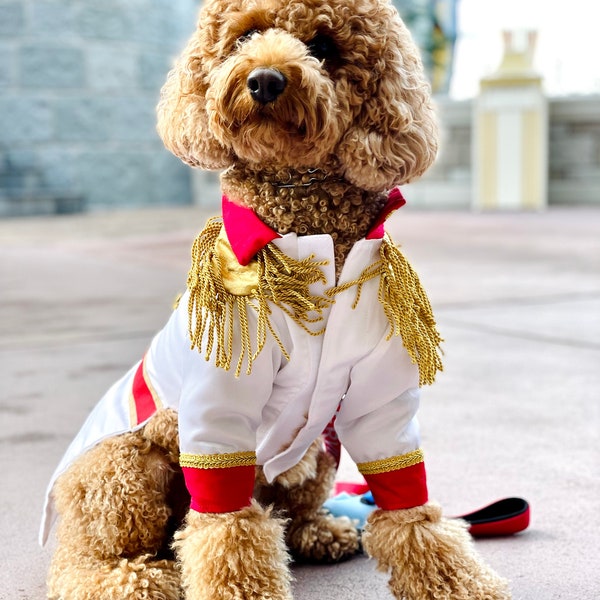 Prince Charming Hundekostüm, Prince Charming Dog Outfit, Prince Hundekostüm, Halloween Hundekostüm, Kostüm für Hunde, Ausgefallene Hundejacke