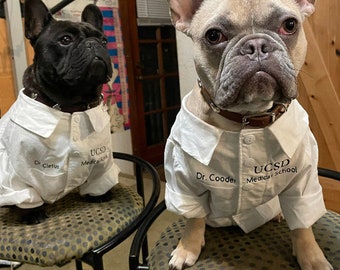 Déguisement de chien veste de docteur, tenue de chien de fin d'études, déguisement de chien de faculté de médecine, déguisement de chien d'halloween, déguisement pour chien, déguisement de docteur chien