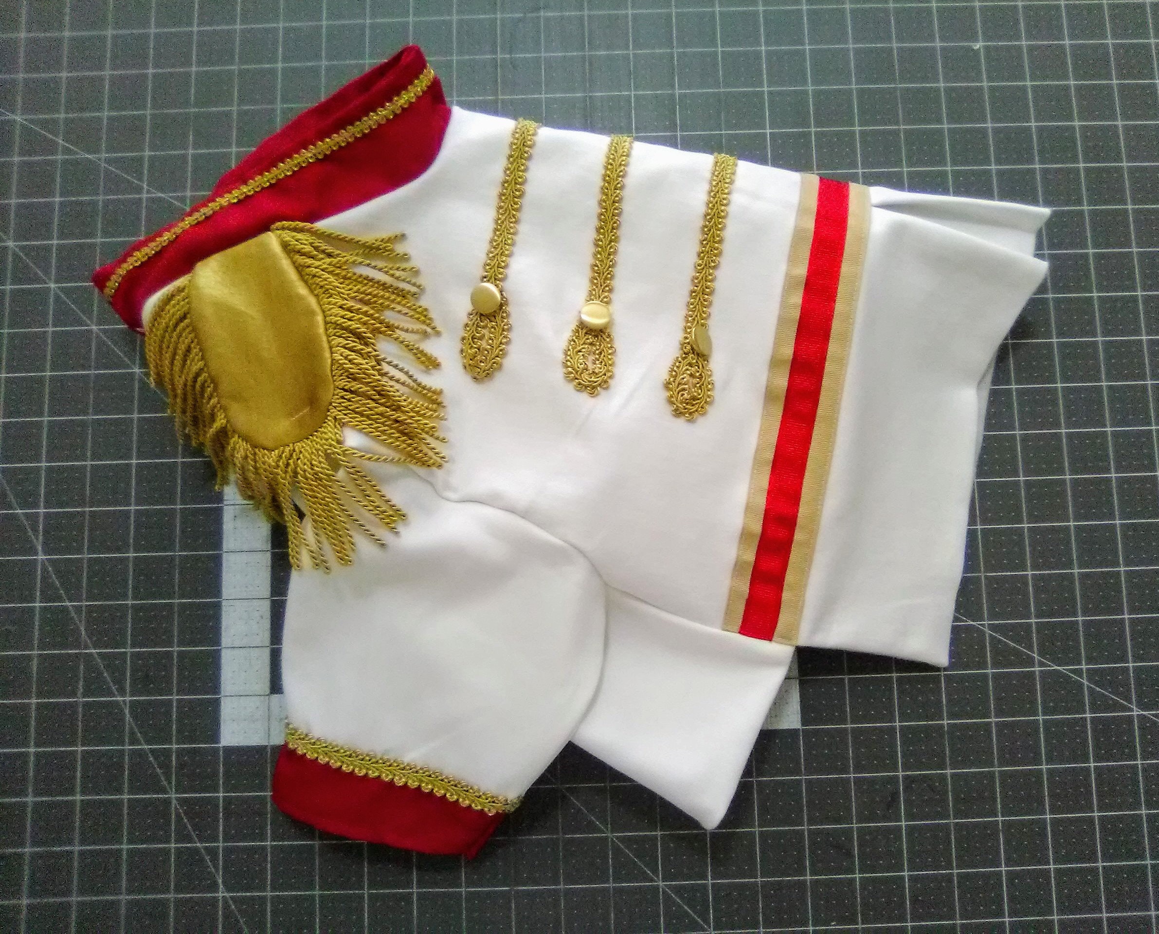 Prince Charming Dog costume, Prince charming dog outfit, Prince dog