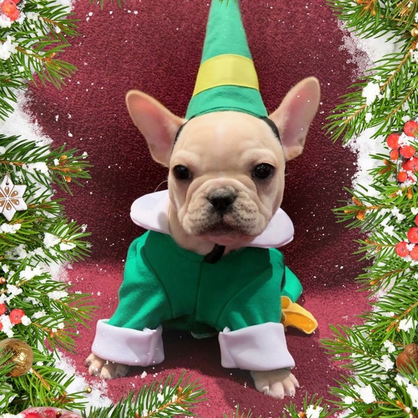 Bourgeons des elfes, tenue de chien bourgeons de l'elfe, costume de chien elfe, costume de Noël de chien, tenue de chien de Noël