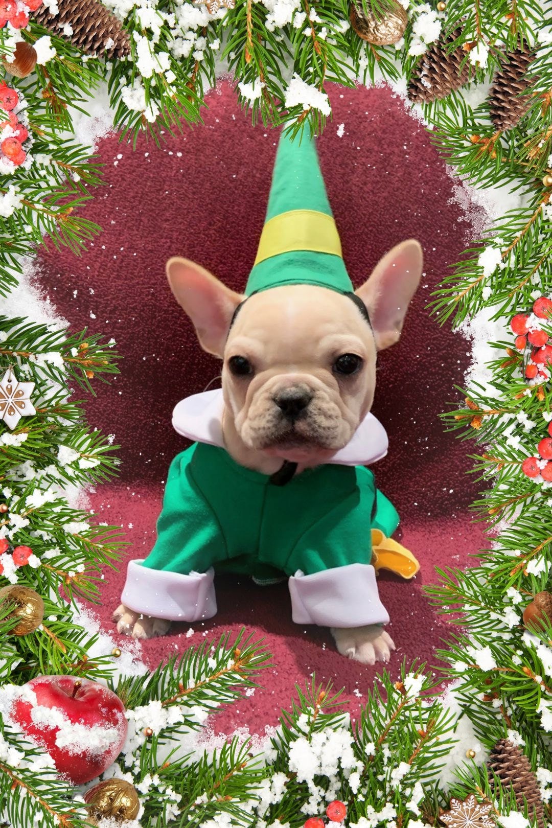 Dog Elf Costume Etsy Canada