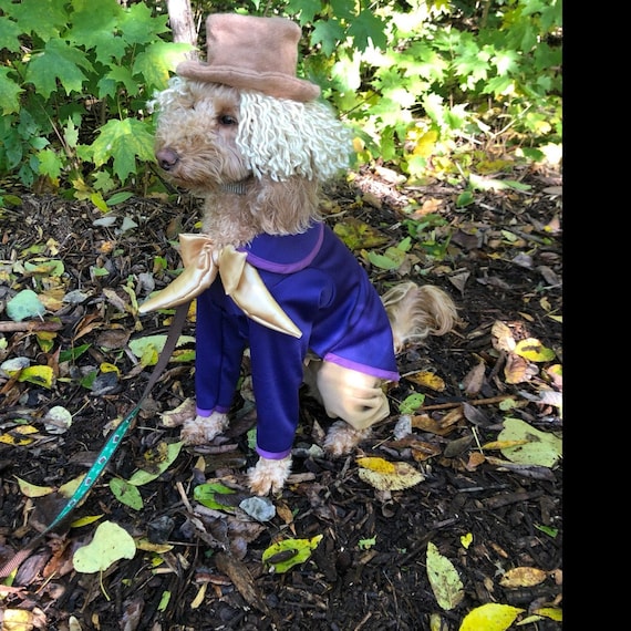Willie Wonka inspired dog costume, Charlie and the chocolate factory, Charlie dog costume, Halloween dog costume, Dog costume