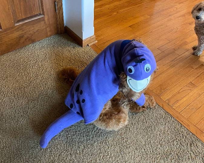 Dinosaur dog cheap costume xxl
