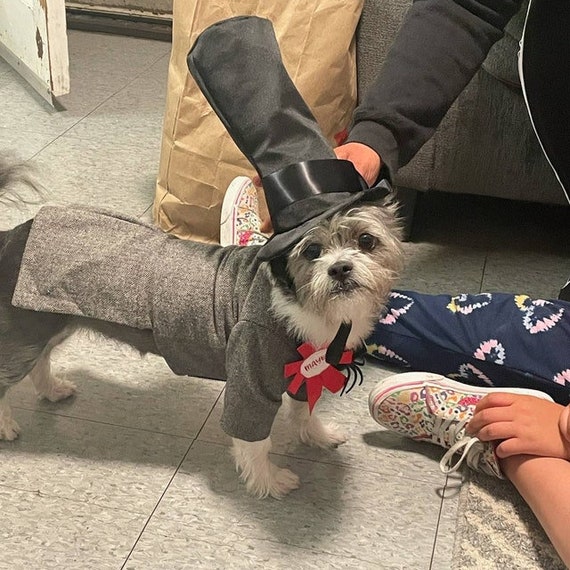 Mayor of Halloween Town Dog Costume Nightmare Before Christmas