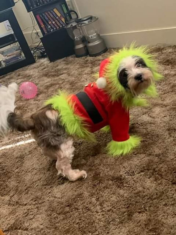 Small dog christmas outfit best sale
