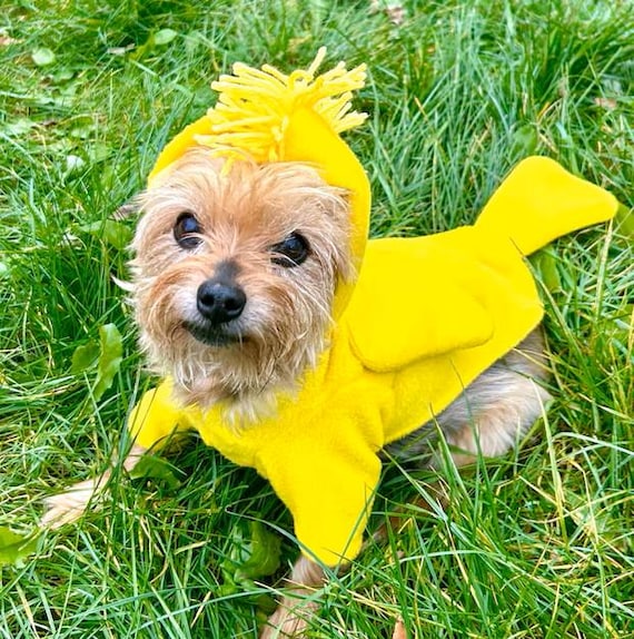Woodstock Dog Costume: Peanuts Fleece Bird Outfit