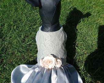 Hochzeitskleid für Hunde: Salbei Satin Blumenmädchen Outfit
