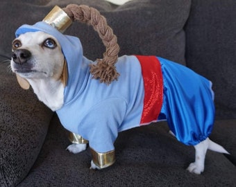 Aladdin, Genie dog costume, Genie dog outfit, Aladdin dog costume, Halloween dog costume,