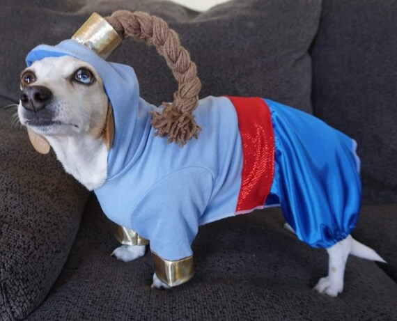 Aladdin, Genie dog costume, Genie dog outfit, Aladdin dog costume, Halloween dog costume,