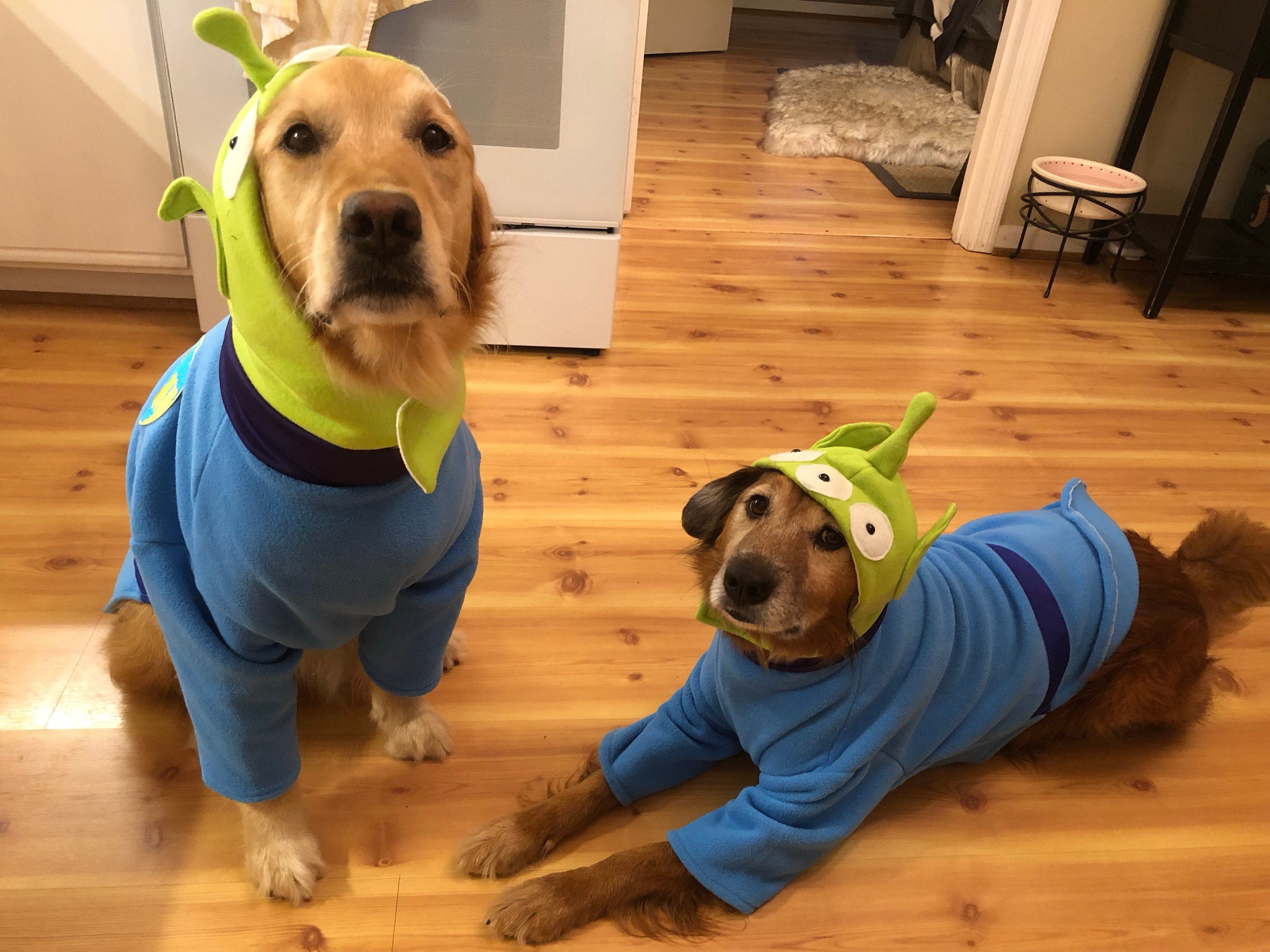 dog toy story alien costume