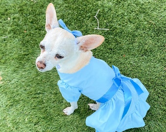 Wendy nightgown dog costume, Peter Pan dog costume, Wendy dog costume, Nightgown dog outfit, Halloween dog costume, Dog costume