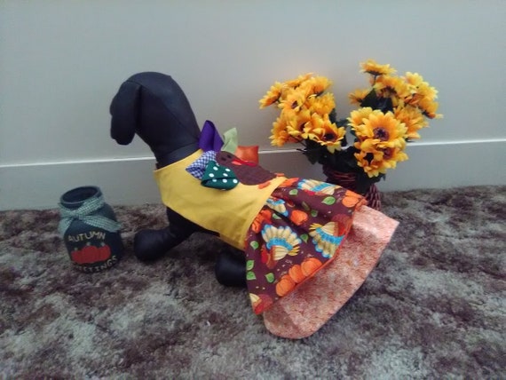 Thanksgiving dog dress, Turkey dog dress, Thanksgiving dog outfit, Hoilday dog outfit