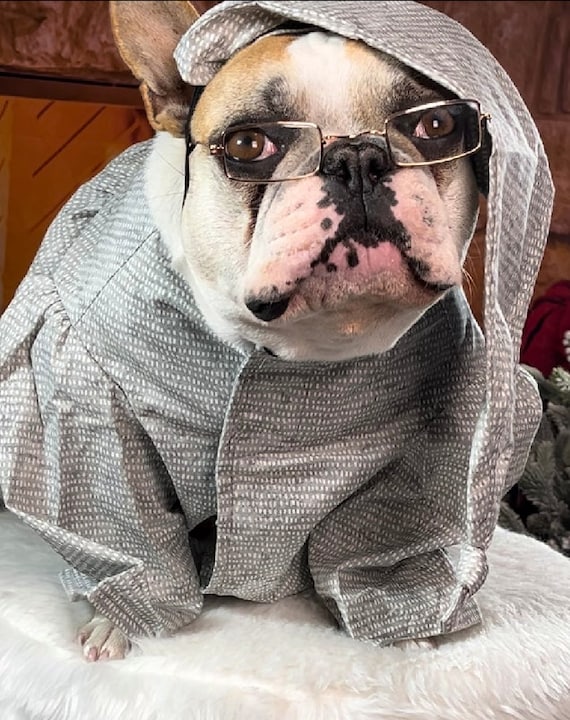 Ebenezer Scrooge Dog Costume: Christmas Pajamas with Night Cap