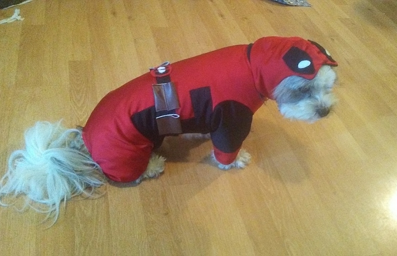 May include: A white dog wearing a red and black Deadpool costume. The dog is sitting on a wooden floor.