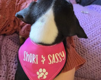 Dog Bandana, Bandana for Dachshunds, Velcro dog bandana, two sided bandana