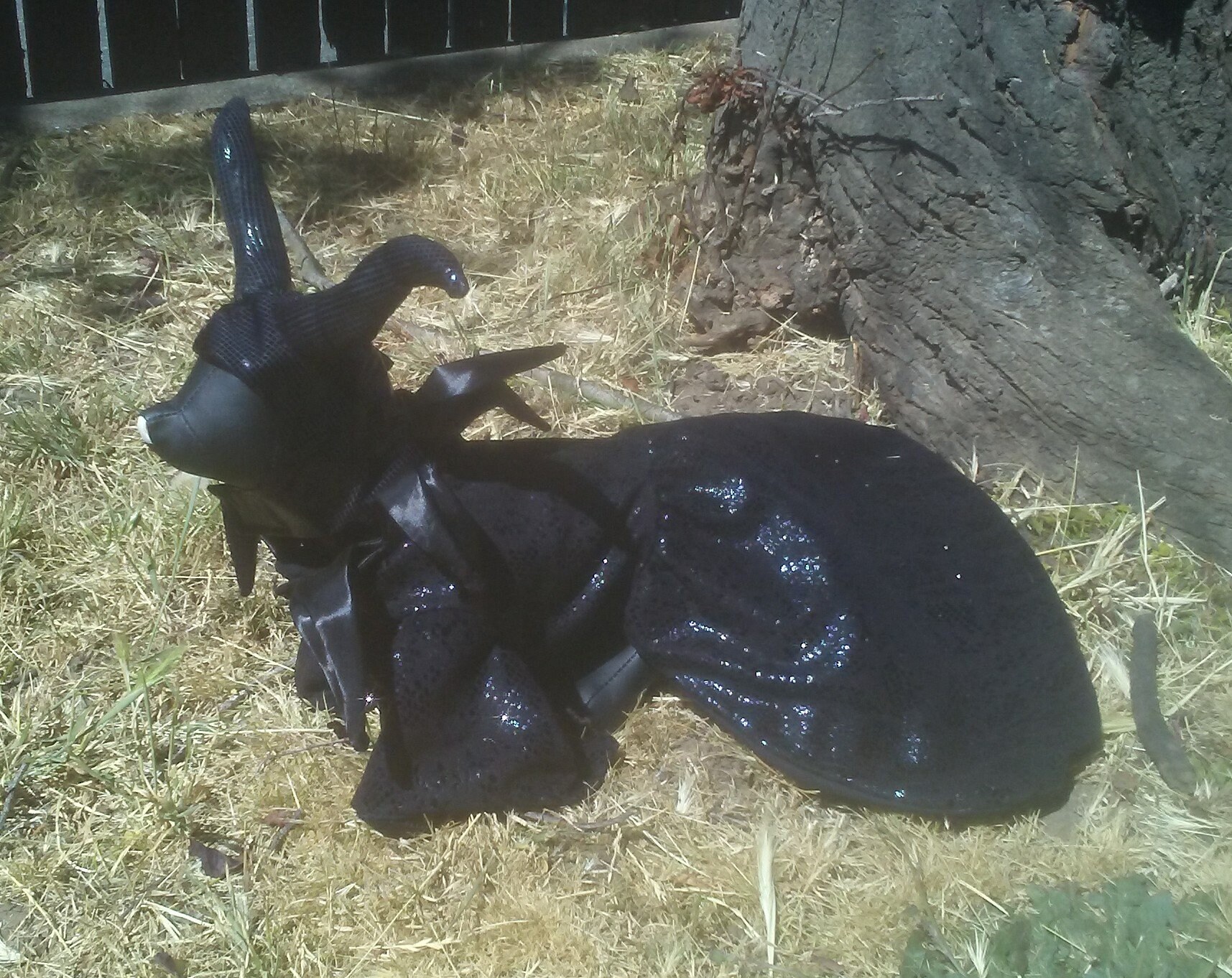 Maleficent Maleficent dog costume Evil Villian Dog costume Etsy