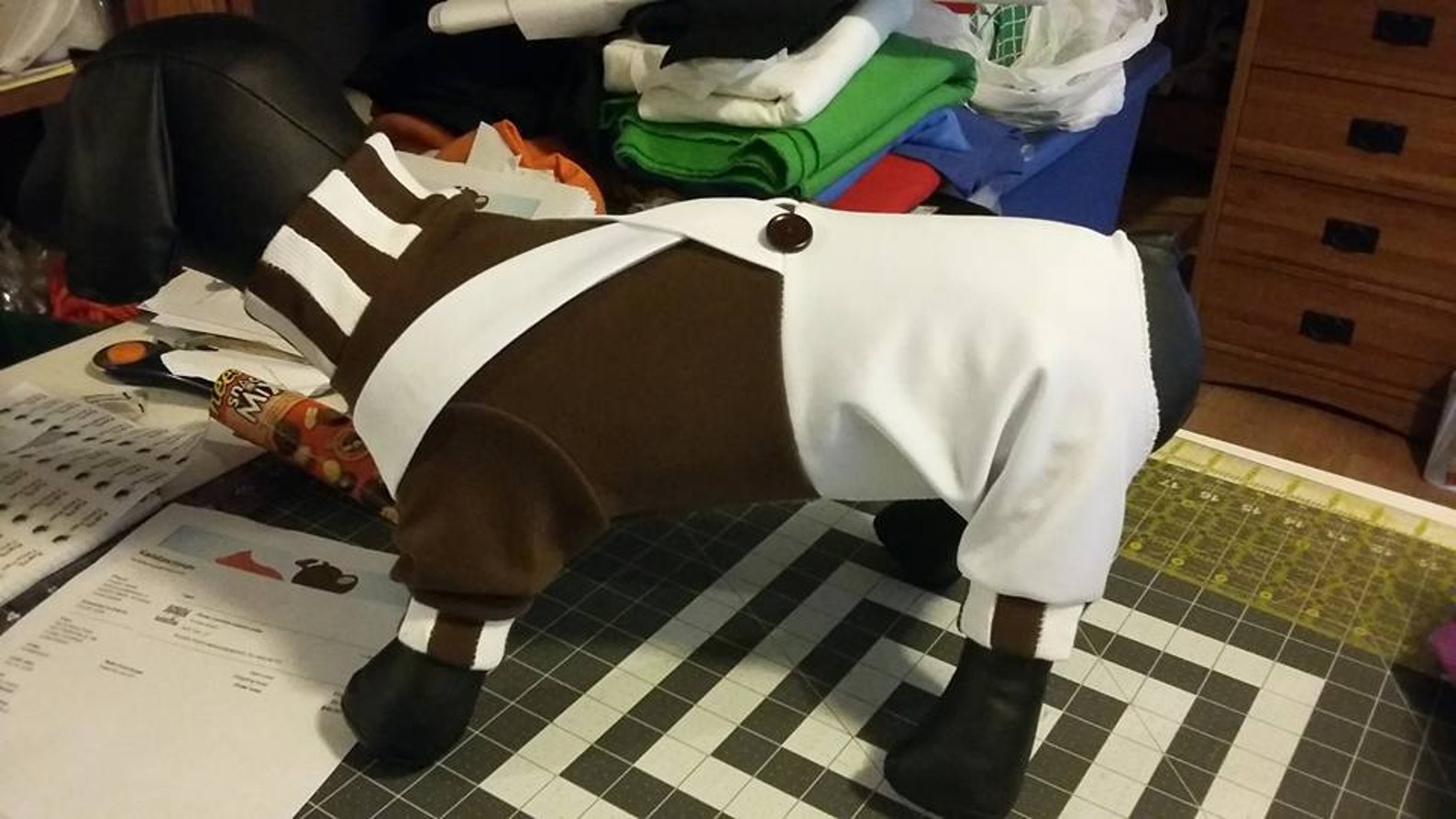 OompaLoompa dog costume Halloween dog costume Charlie & the Etsy