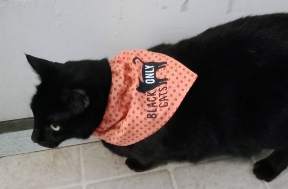 Black Cats Only pet bandana, Halloween pet bandana, Halloween cat bandana, Bandana for Cats, Bandana for Dogs, Slide on collar bandana