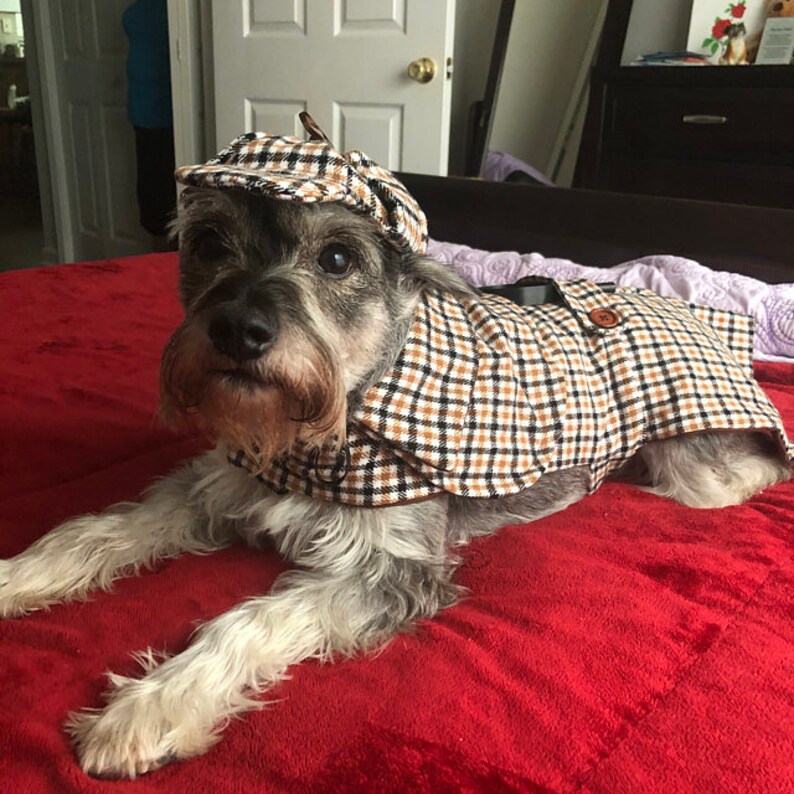 Sherlock Holmes Dog Costume Detective Dog Costume Dog Etsy