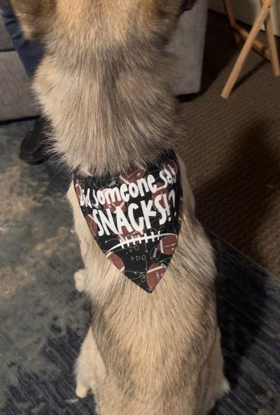 Super Bowl, Super Bowl dog bandana, Did someone say SNACKS, Sports dog bandana, Football dog bandana, Slide on dog bandanas, Dog bandana