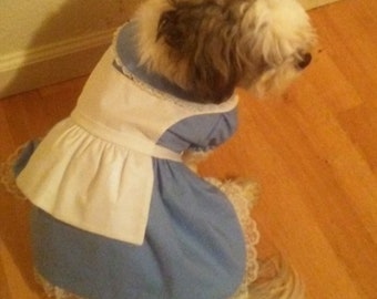 Alice in Wonderland, Alice dog dress, Alice dog costume