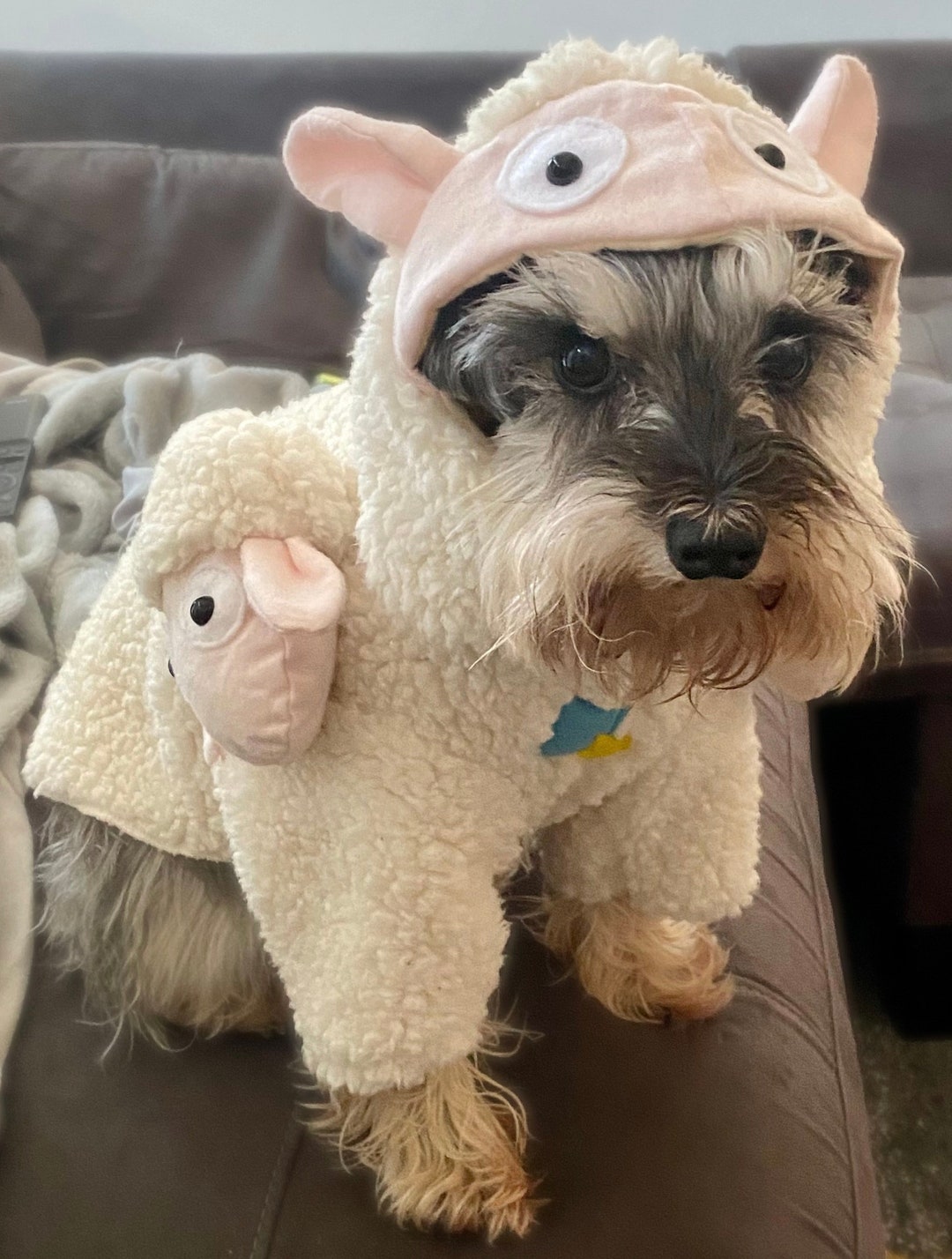 Toy Story Sheep Dog Costume, Toy Story Billy, Goat and Gruff Dog