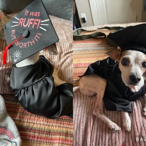 Graduation Dog Gown, Graduation Gift, Dog costume, Dog cap and gown, Graduation Dog Outfit, Halloween dog costume, Graduation gown for dogs image 4