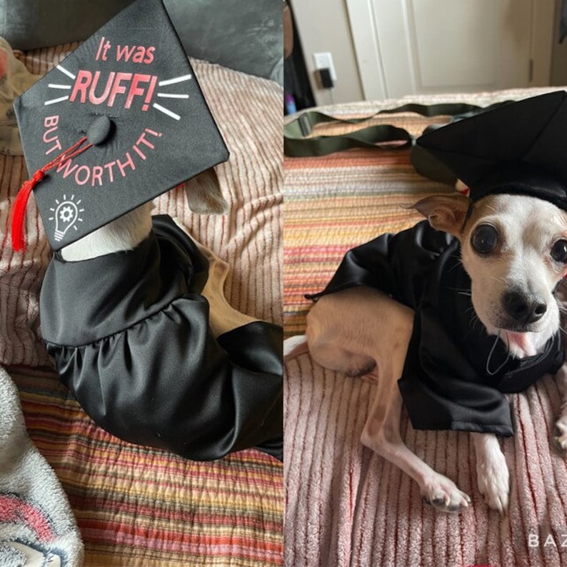 Graduation Dog Gown, Graduation Gift, Dog costume, Dog cap and gown, Graduation Dog Outfit, Halloween dog costume, Graduation gown for dogs image 4