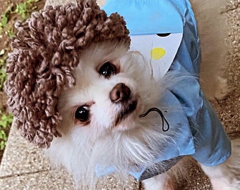 Bob Ross dog costume, Bob Ross dog shirt, Painters dog costume, Halloween dog costume,  dog Halloween outfit