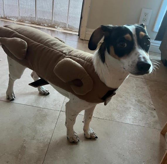 Turkey Dog Costume: Thanksgiving Outfit with Drumsticks