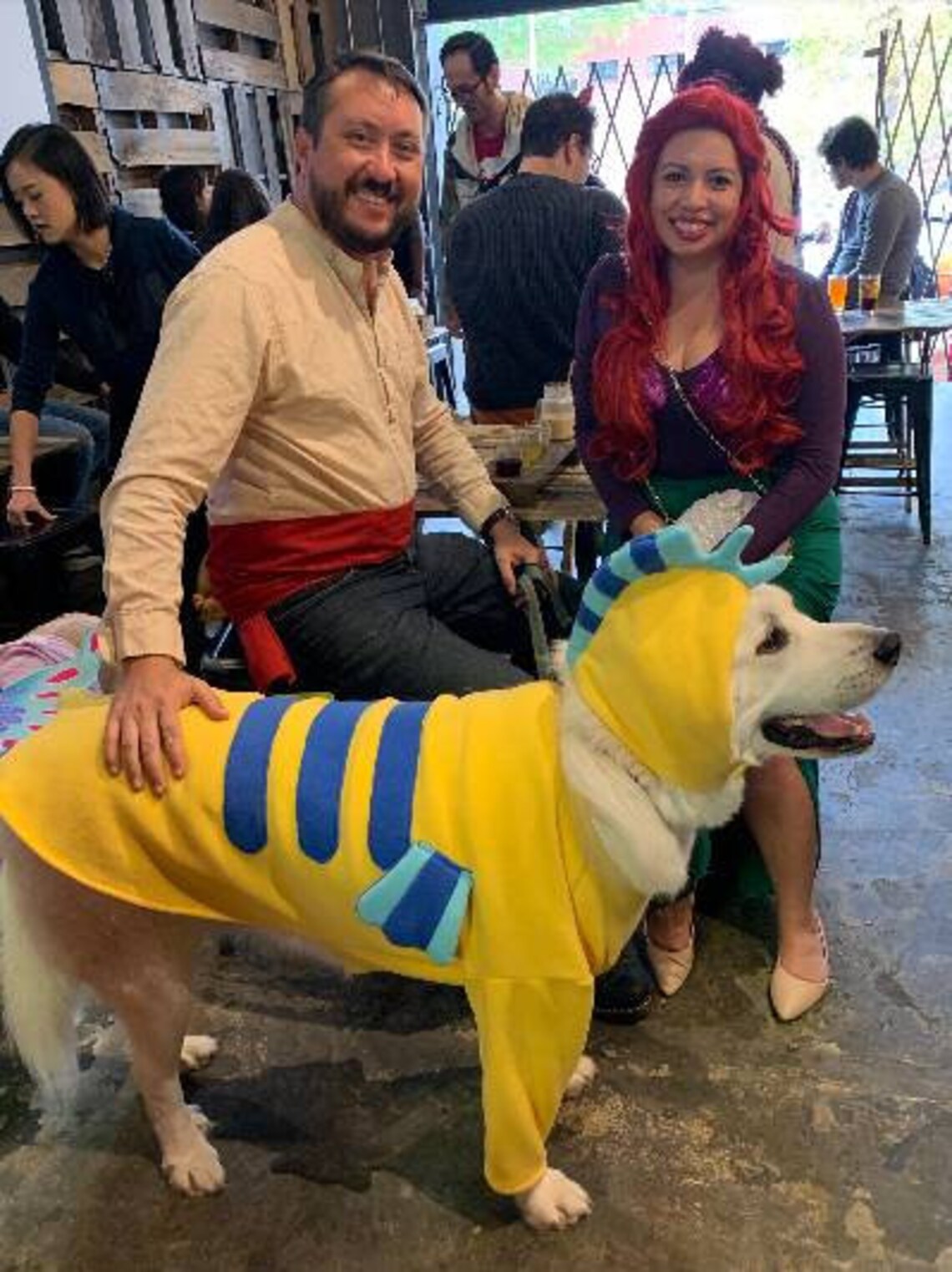 Flounder Little Mermaid Flounder Dog Costume Little Mermaid Etsy