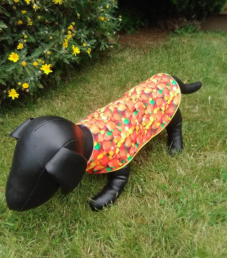Candy Corn dog jacket Candy Corn dog outfit Halloween dog Etsy