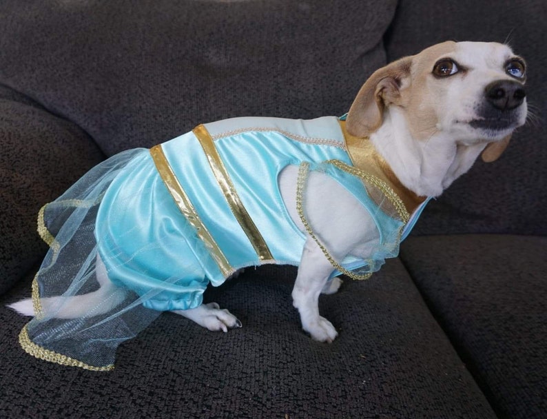 Jasmine Dog Costume Alddian Dog Costume Halloween Dog Etsy