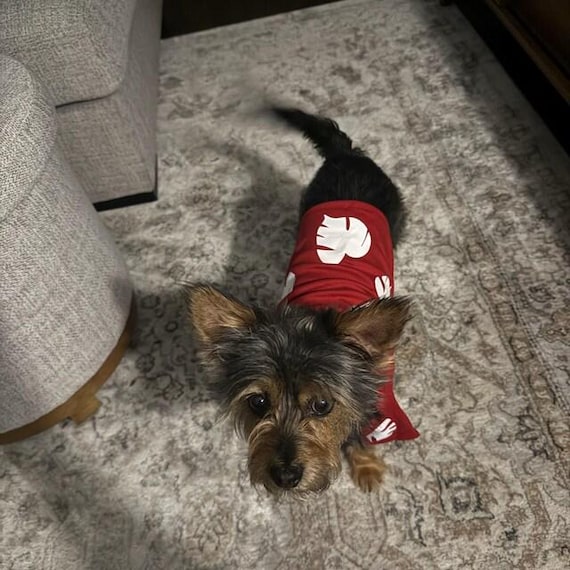 Lilo Dog Costume: Hawaiian Dress, Inspired by Lilo & Stitch