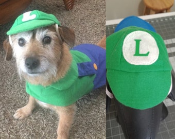 Luigi Dog Costume,  mario kart costume, Halloween dog costume, costume for dogs