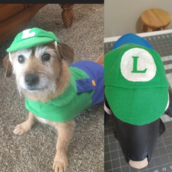 Luigi Dog Costume, Mario Kart Costume, Halloween Dog Costume, Costume for  Dogs 