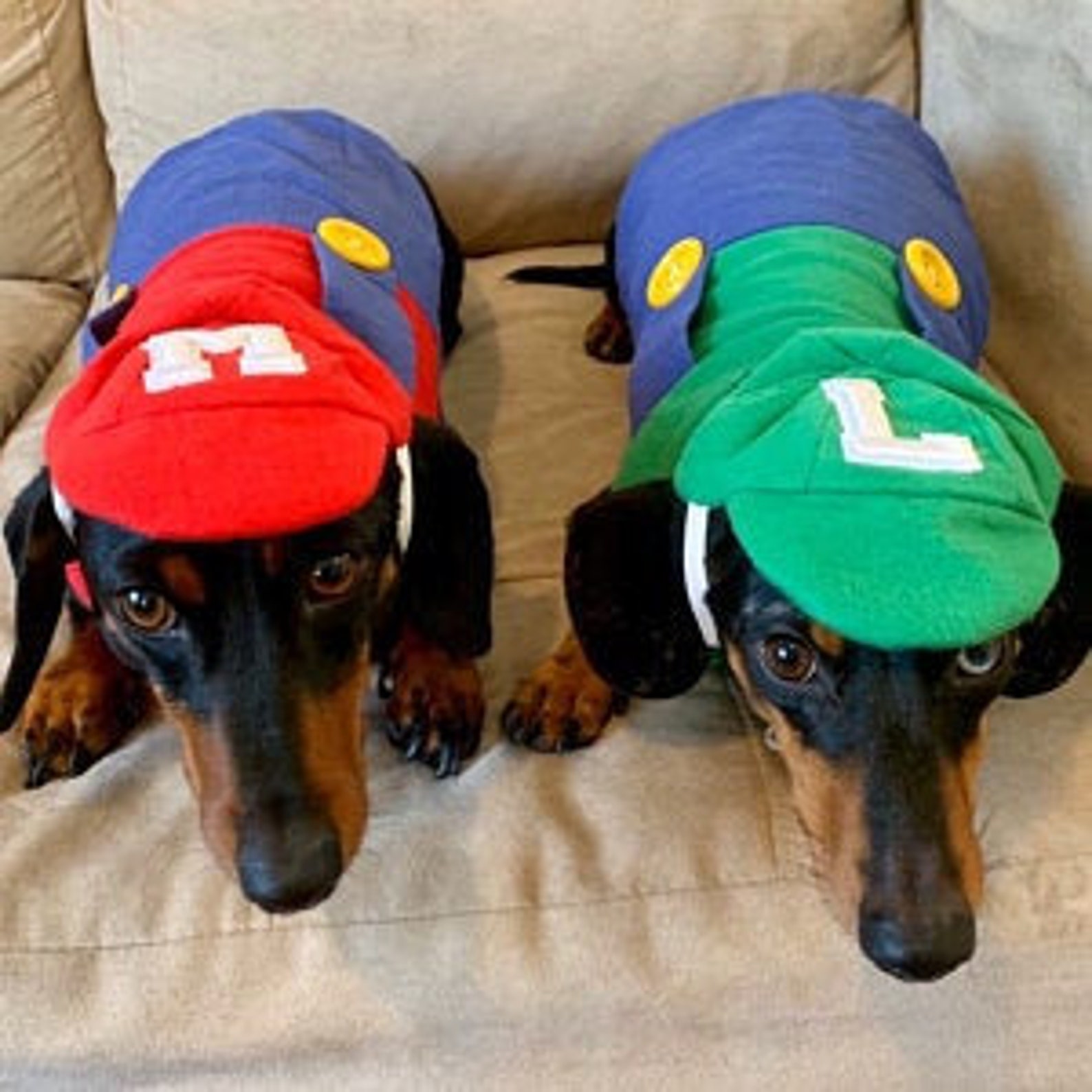 Mario Luigi Dog Costume
 Luigi Dog Costume Mario Kart Costume Halloween Dog Costume Etsy