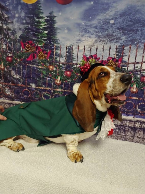 Christmas dog outfit, Christmas Carol dog outfit, Dog jacket, Fancy dog outfit, Dog outfit