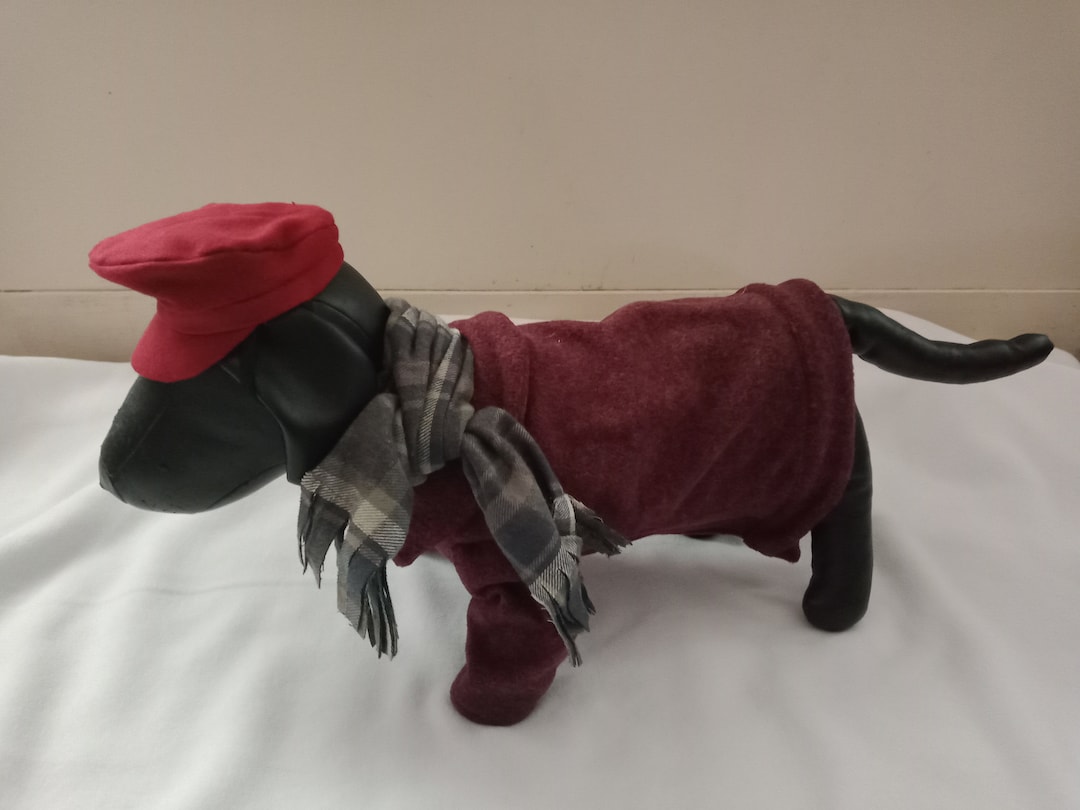 Tiny Tim Dog Costume, Christmas Carol Dog Costume, Christmas Dog Outfit ...