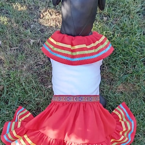 Cinco De Mayo Hundekleid, Mexikanisches Fiesta Hundekleid, Party Hundekleid, Halloween Hundekleid