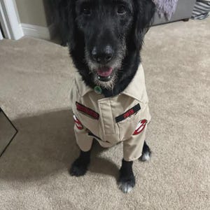 Ghostbuster Dog Costume: Tan Twill Halloween Dog Jacket