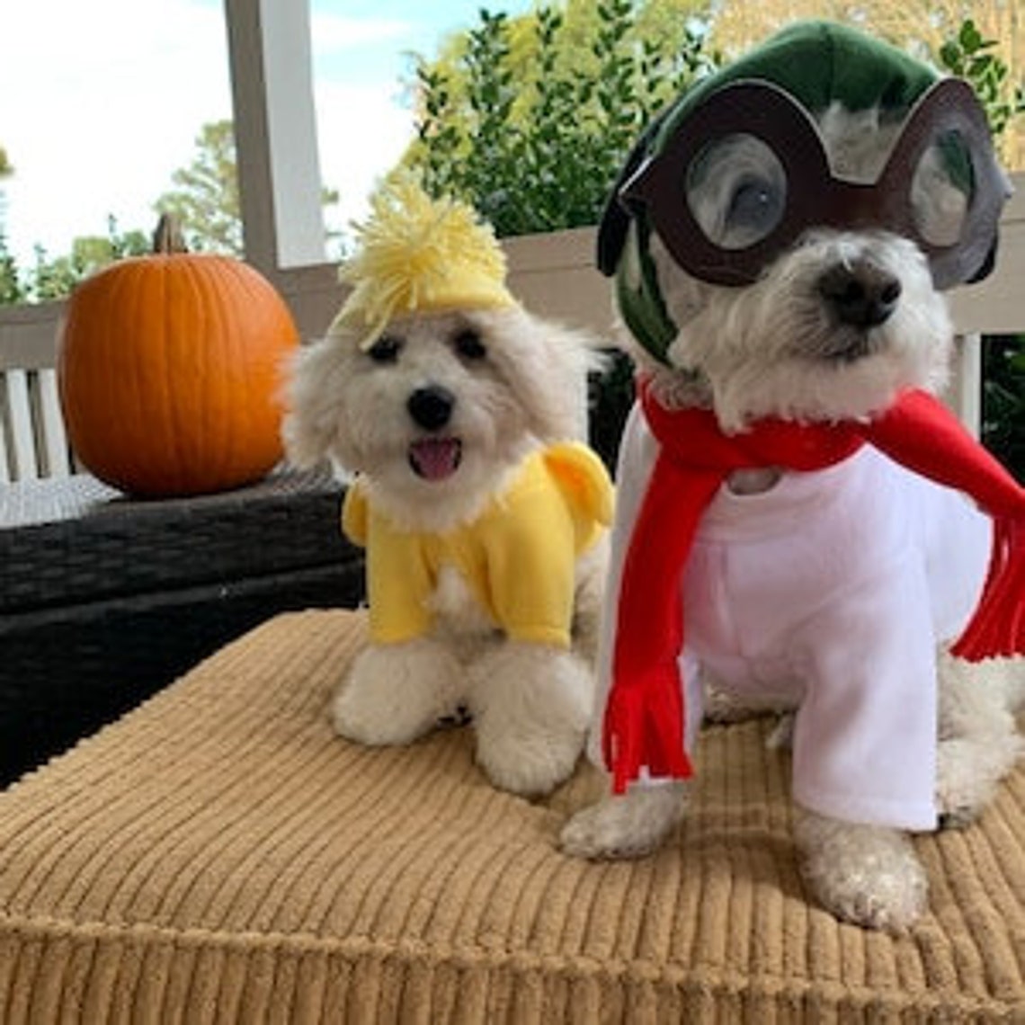 The Peanuts Snoopy Dog Outfit Red Baron Snoopy Dog Costume Etsy