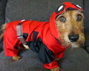 Deadpool, Deadpool dog costume, Halloween dog costume